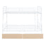 Contemporary Bunk Bed