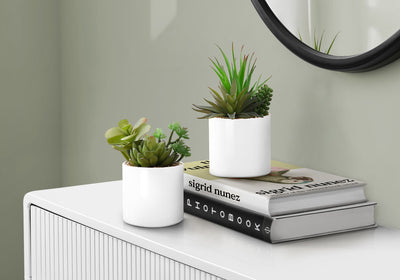 Artificial Succulent Plants (Set of 2)