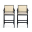 Woven Cane Plastic Backrest Bar Stool Foam Padded Fabric Seat & Durable Rubberwood Frame - Cream Gray