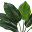 17" Tall, Artificial Plant, Aureum, Indoor, Faux, Fake, Table, Greenery, Potted, Real Touch, Decorative - Green / White