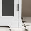 Modern Bathroom Vanity With Ceramic Sink, Tempered Blurred Glass Doors