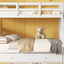 Bunk Bed With Twin Size Trundle, Storage And Guard Rail For Bedroom