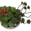 Artificial Succulent, Table Decor (Set of 2) - Green / Beige
