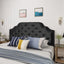 Charismatic - Size Headboard With Button Tufting And Nailhead Trim