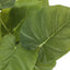 13" Tall, Artificial Plant, Epipremnum, Indoor, Faux, Fake, Table, Greenery, Potted, Decorative (Set of 2) - Green / Black