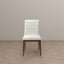 Ines - Modern Dining Chair (Set of 2)