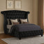 Sophia - 5 Piece Bedroom Set