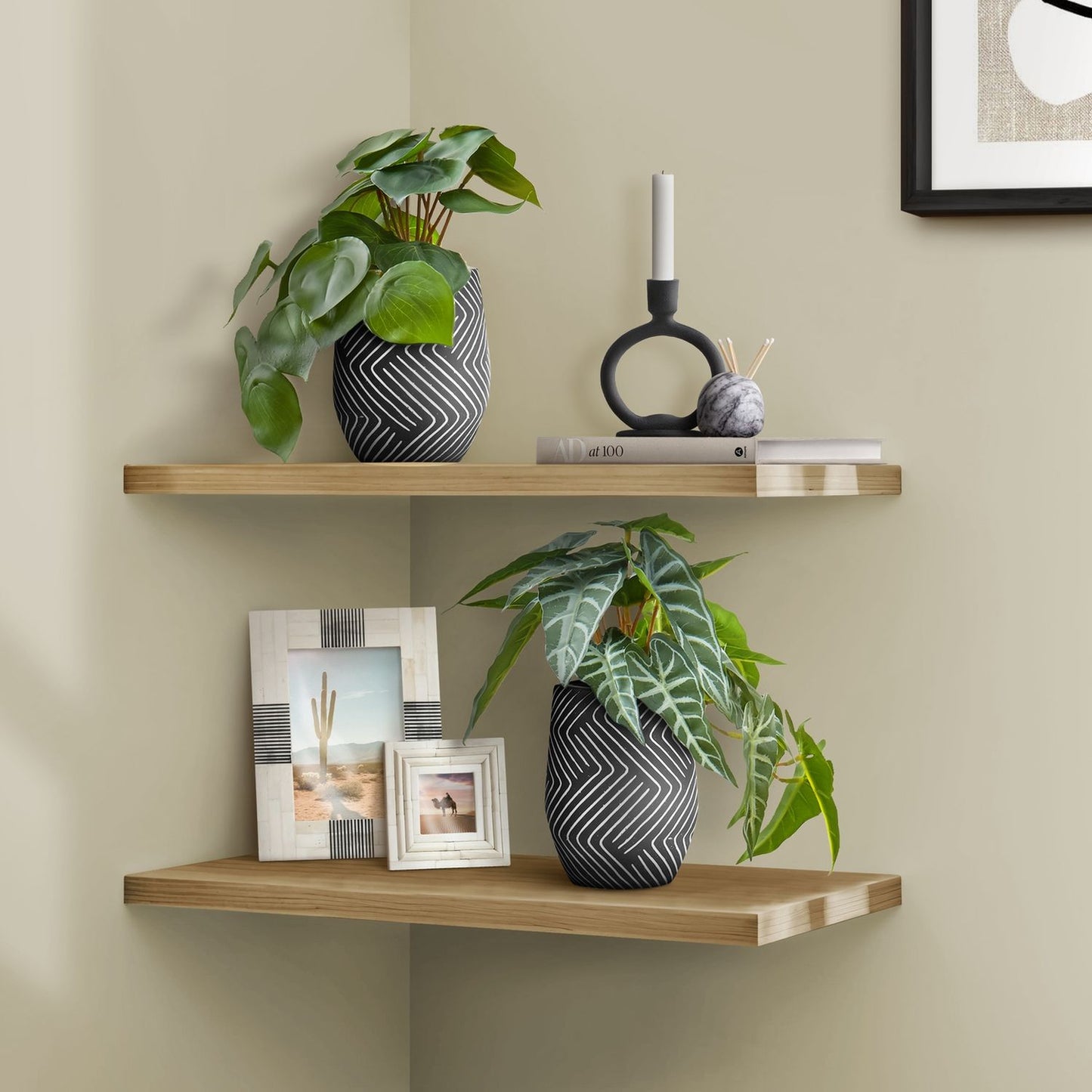 Artificial Alocasia Plant (Set of 2)