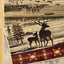 Nature's Nest - 5'3" X 7'3" Lodge Area Rug - Multi / Cream