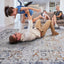 Payas - Trendy Traditional Area Rug