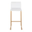 Mara - Contemporary Upholstered Barstool (Set of 2)