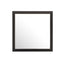 Burlington - Modern Design Transitional Wall Mirror