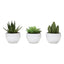 Artificial Succulent Plants (Set of 3)