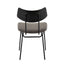 Walker - Mid Century Modern Chair (Set of 2)