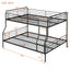 Contemporary Bunk Bed