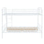Contemporary Bunk Bed