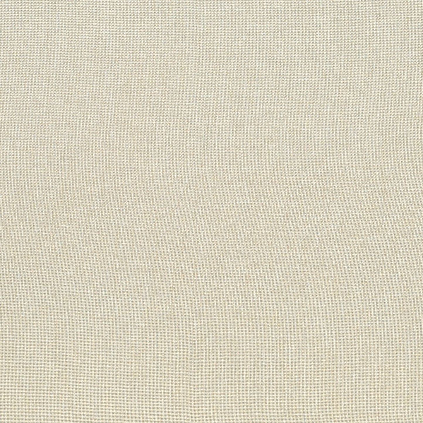 Dining Chair, Upholstered, Dining Room, Transitional (Set of 2) - Cream