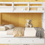 Bunk Bed With Twin Size Trundle, Storage And Guard Rail For Bedroom