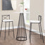 Modern Charlotte - Contemporary Fixed Height Barstool (Set of 2)