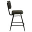 Senko - Upholstered Counter Chair (Set of 2)