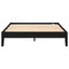 Ridgeview - Queen Storage Panel Bed With Low Profile Design - Black