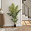 57" Tall, Artificial Plant, Palm Tree, Indoor, Faux, Fake, Floor, Greenery, Potted, Real Touch, Decorative - Green / Black