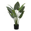 37" Tall, Artificial Plant, Aureum Tree, Indoor, Faux, Fake, Floor, Greenery, Potted, Real Touch, Decorative - Green / Black