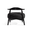 Modern Living Room Upholstered Accent Chair
