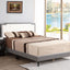 Bed (All in One Box) - Two Tone