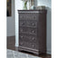 Shaker - Crocodile Chest