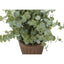 Artificial Eucalyptus Grass (Set of 2)
