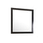 Burlington - Modern Design Transitional Wall Mirror