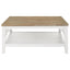 Evanston - Square Coffee Table With Shelf - White