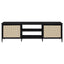 Kenneth - 2 Door TV Stand Doors - Black