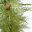 4Ft Pre Lit Artificial Christmas 2 Piece Set - Green