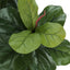 47" Tall, Artificial Plant, Fiddle Tree, Indoor, Faux, Fake, Floor, Greenery, Potted, Real Touch, Decorative - Green / Black
