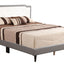 Bed (All in One Box) - Two Tone