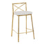 Modern Charlotte - Contemporary Fixed Height Counter Stool (Set of 2)