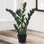 29" Tall, Artificial Plant, Zz Tree, Indoor, Faux, Fake, Floor, Greenery, Potted, Real Touch, Decorative - Green / Black