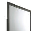 Carine - Mirror - Gray