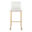 Mason Mara - Contemporary Versatile Desig Fixed Height Barstool (Set of 2)