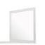 Shaker - Crocodile Metallic Mirror