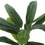 55" Tall, Artificial Plant, Banana Tree, Indoor, Faux, Fake, Floor, Greenery, Potted, Real Touch, Decorative - Green / Black