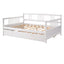 Multifunctional Modern Daybed