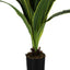 47" Tall, Artificial Plant, Dracaena Tree, Indoor, Faux, Fake, Floor, Greenery, Potted, Real Touch, Decorative - Green / Black