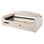 Upholstered Daybed With Storage Armrests, Trundle And Latest Integrated tooth Audio System