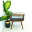 Alice - Mid-Century Modern Table