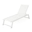 Myers - Modern Chaise Lounge Set With Adjustable Back