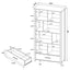 Dylan - 4 Shelf Storage Bookshelf