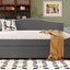Upholstered Daybed With Storage Armrests, Trundle And Latest Integrated tooth Audio System